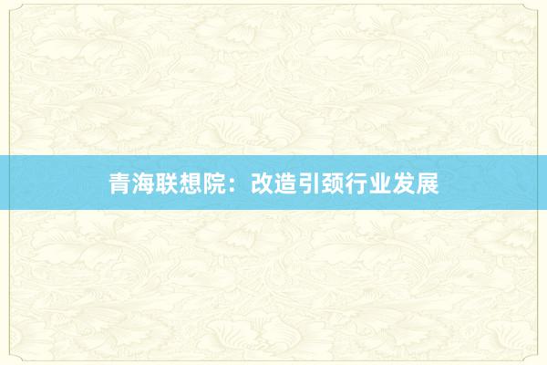 青海联想院：改造引颈行业发展